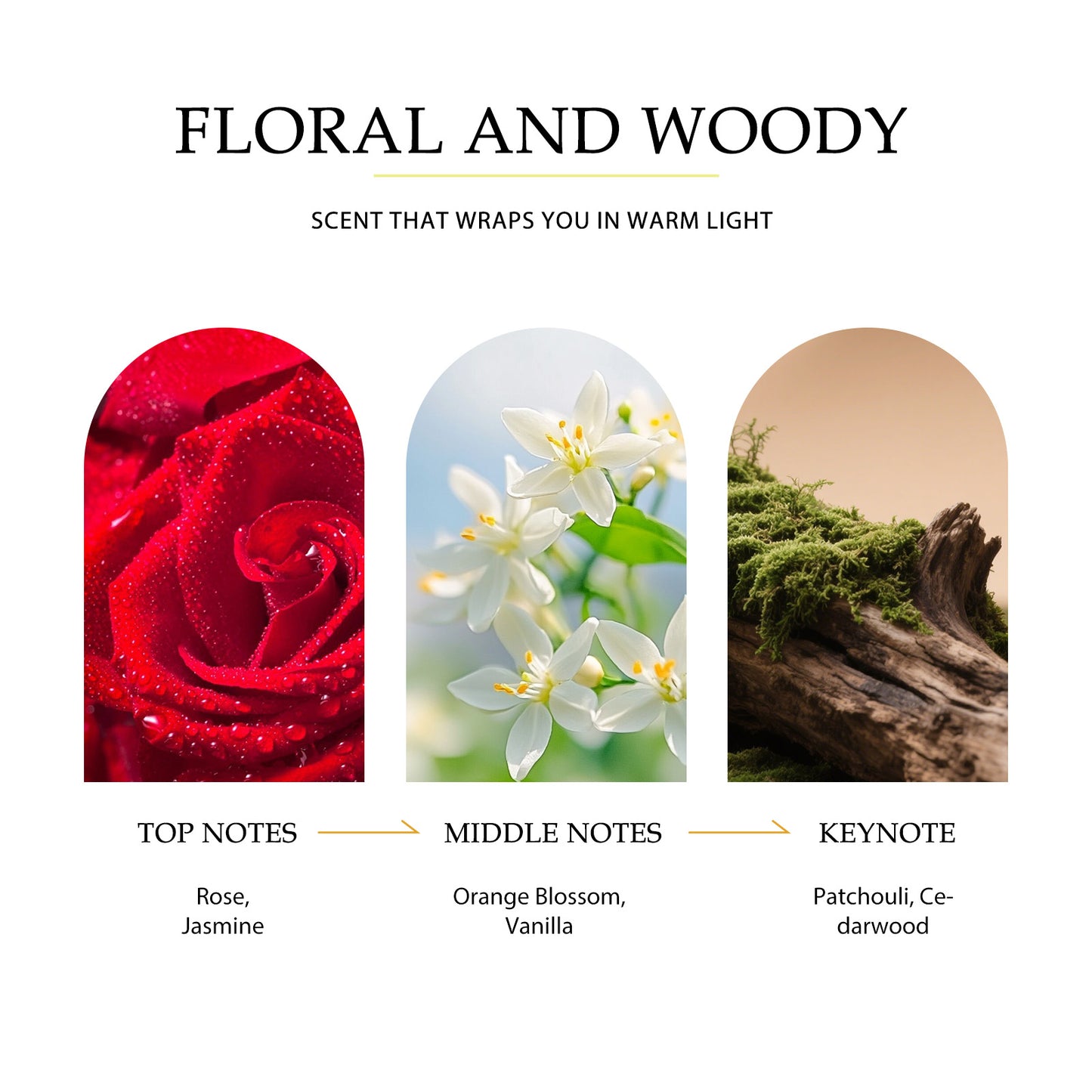 LUMINOUS AURA SHIMMERING BODY OIL + SHIMMERING BODY LOTION