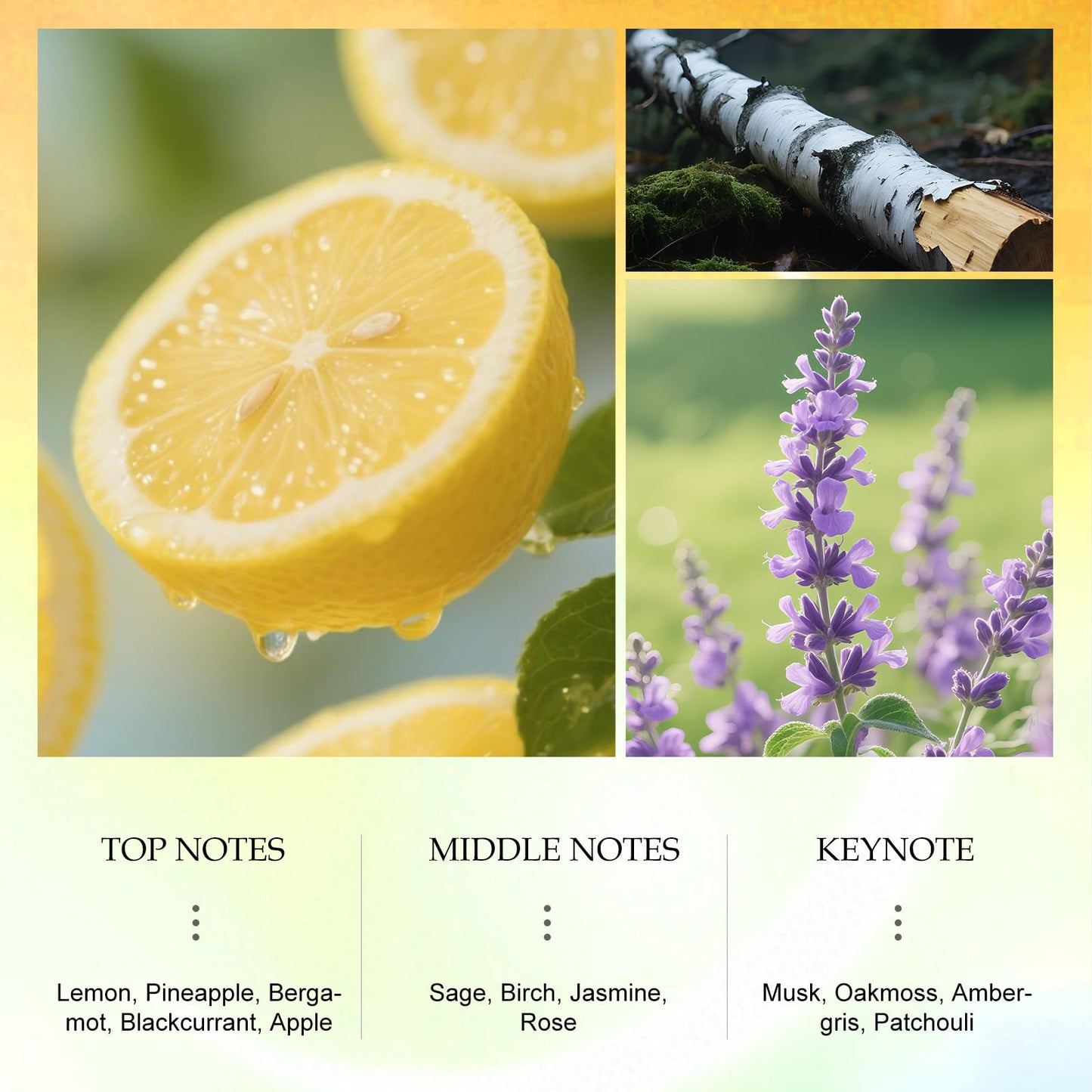 TIMBER BREATH FRAGRANCE MIST